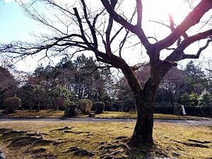 Meiji Mura - Village de l'ere Meiji - 15.01.2024 - 029